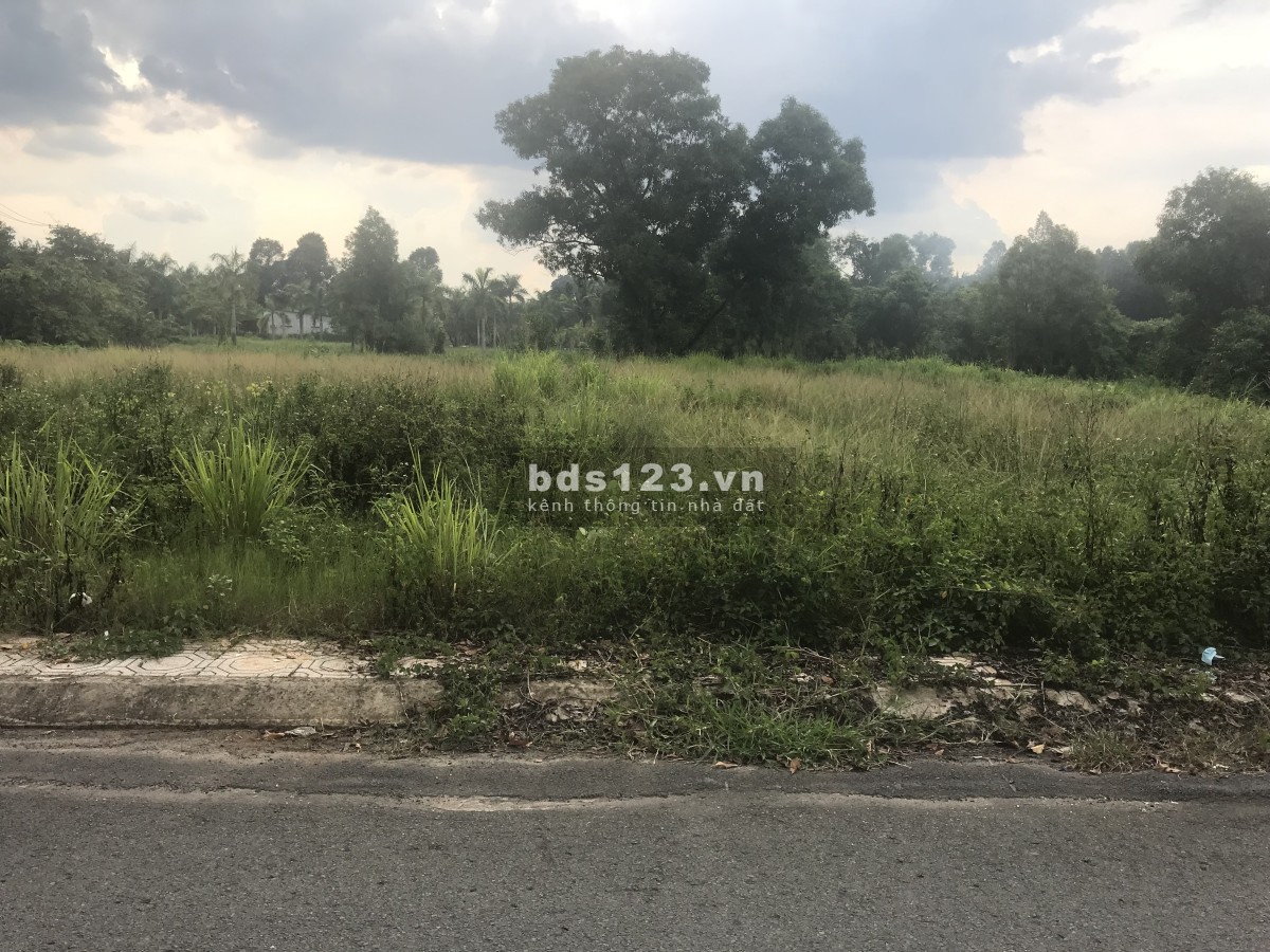 Cần Bán Lô Đất Biệt Thự Siêu Đẹp Giá Rẻ Phường Hiệp Hoà , TP Biên Hoà