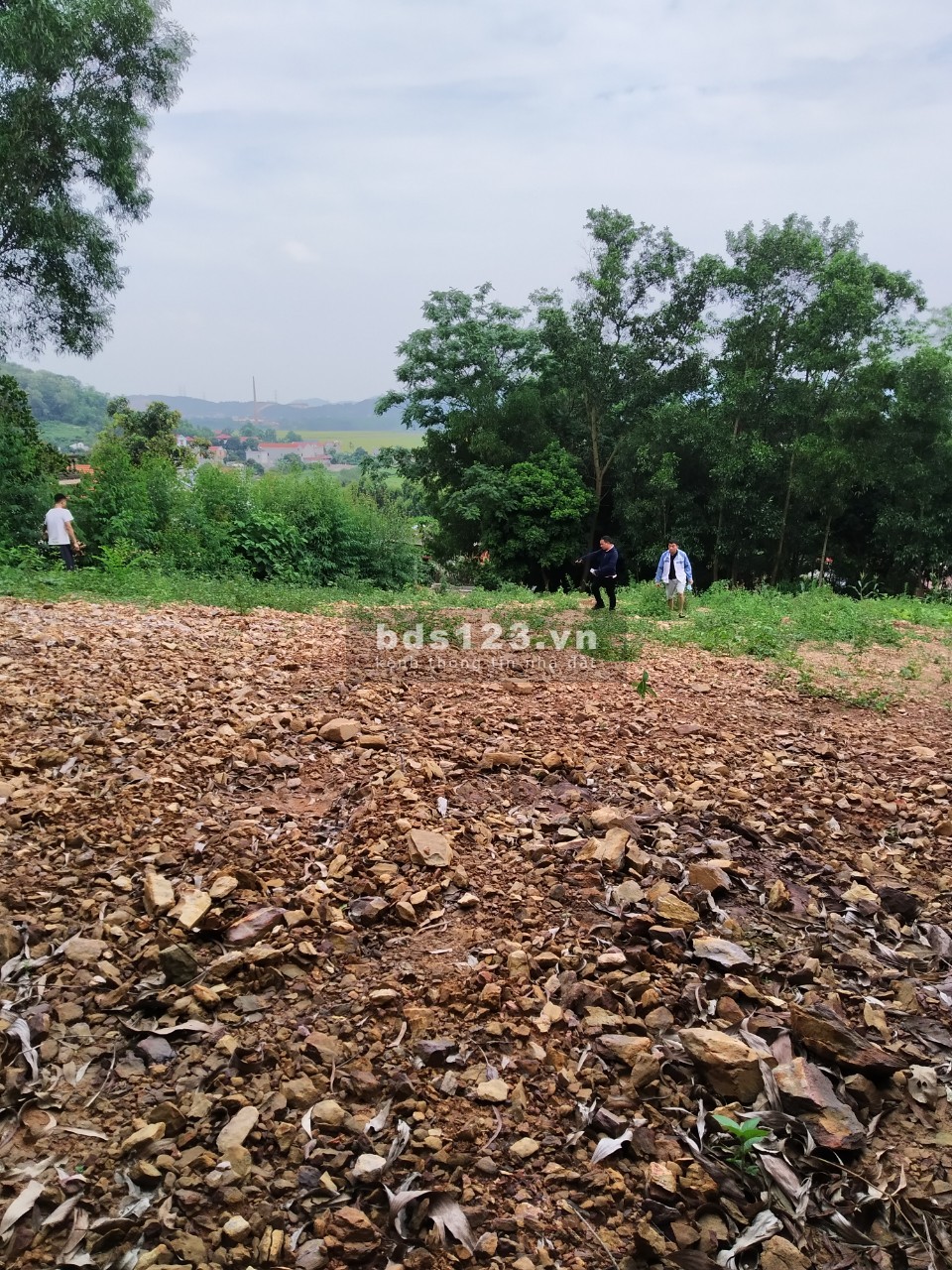 Cần bán đất thổ cư tại thôn Đồng Công Vũ Xá Lục Nam Bắc Giáng, giá tốt lh 0889351538