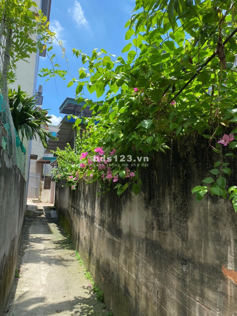 Bán nhà riêng 68m gần ngã 3 Đại Áng, Thanh Trì, Hà Nội liên hệ 0339706007