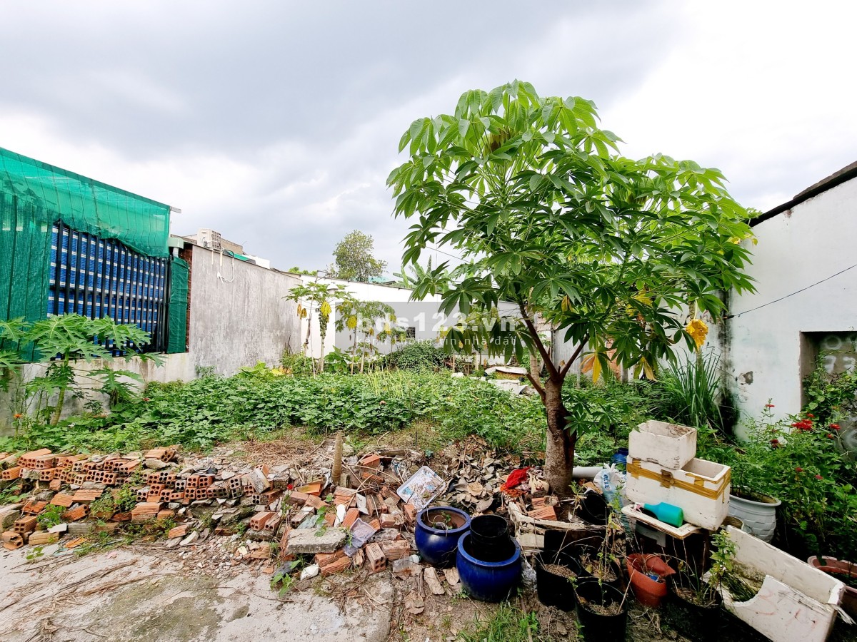 Cần bán lô đất ngay chợ P. Thống Nhất, SHR, thổ cư, giá 2.4 tỷ, dt 98.5m2 (Thương lượng chính chủ)