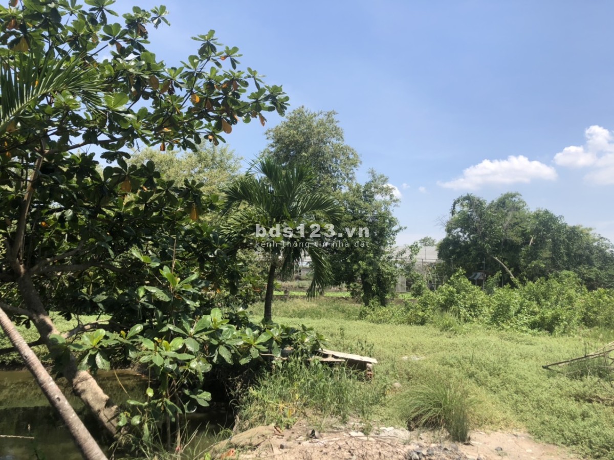 Bán đất 2 mặt tiền Tân Quý Tây Bình Chánh diện tích sử dụng 7000m2 lh 0522515869