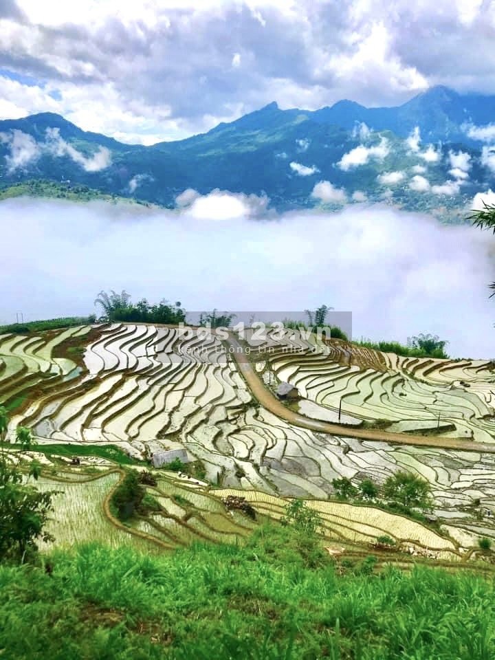 Tam giác kinh tế Mường Hum - Lào Cai - Sa Pa, pháp lý chuẩn, diện tích lớn