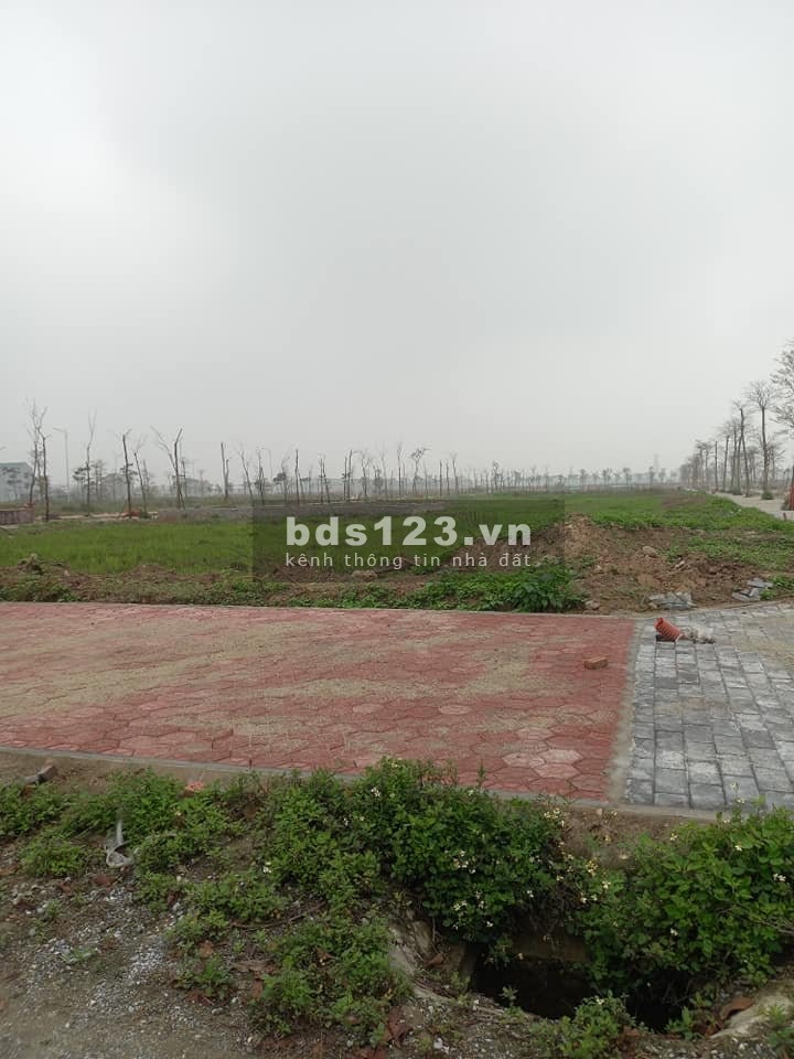 Đất nền Phố Nối Hưng Yên giá rẻ đầu tư sinh lời cao, pháp lý chuẩn