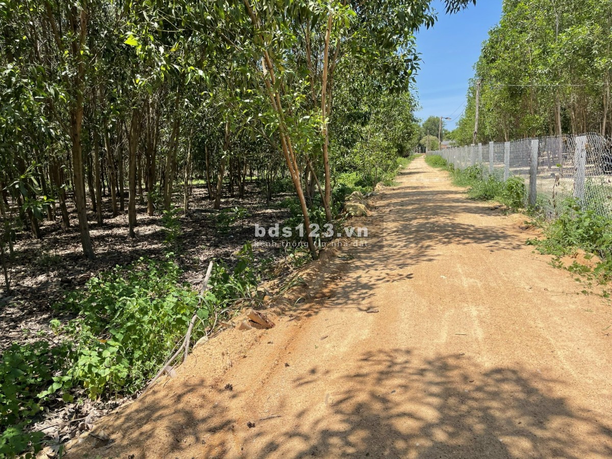 Đất Tx.Lagi diện tích 1.032m2 phủ hồng ODT đường ô tô gần dân cư giá đầu tư