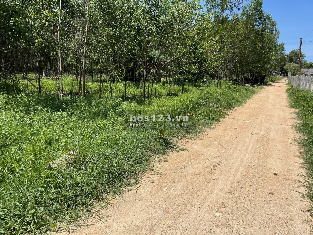 Đất Tx.Lagi diện tích 1.032m2 phủ hồng ODT đường ô tô gần dân cư giá đầu tư