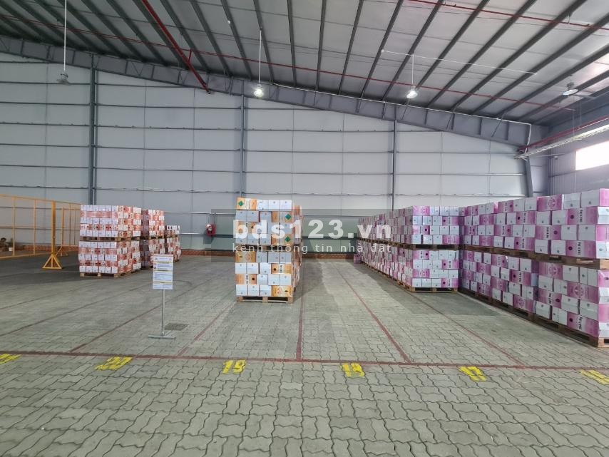 Cần cho thuê kho*500m2-10.000m2 KCN Long Hậu, Long Hậu, Cần Giuộc, Long An