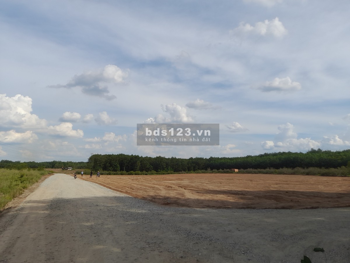Đất sào sổ sẵn cam kết lợi nhuận cao ngay KCN Becamex Chơn Thành giá rẻ nhất khu vực
