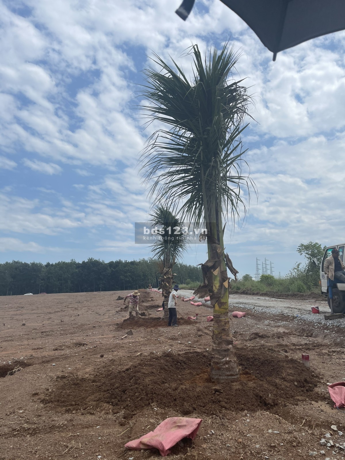 Đất sào sổ sẵn cam kết lợi nhuận cao ngay KCN Becamex Chơn Thành giá rẻ nhất khu vực