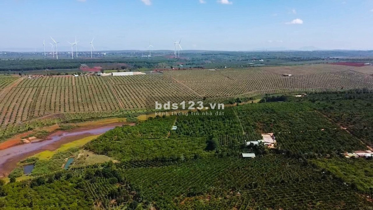 Một vị trí cực phẩm đất nền nghỉ dưỡng view hồ Hoàng Ân, siêu hấp dẫn cho các nhà đầu tư.