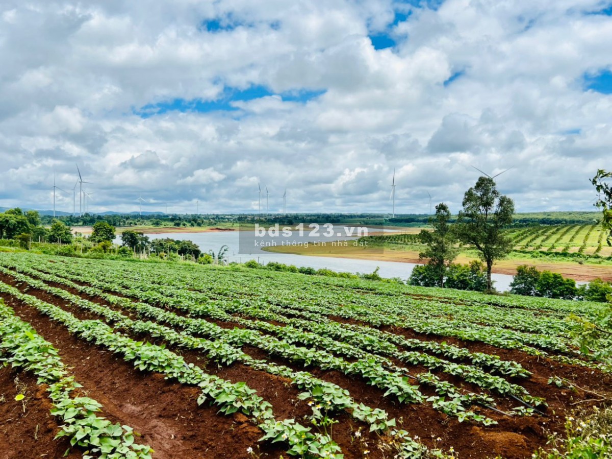 Một vị trí cực phẩm view hồ Hoàng Ân, quạt điện gió. Giá trị tiềm năng phát triển cao.
