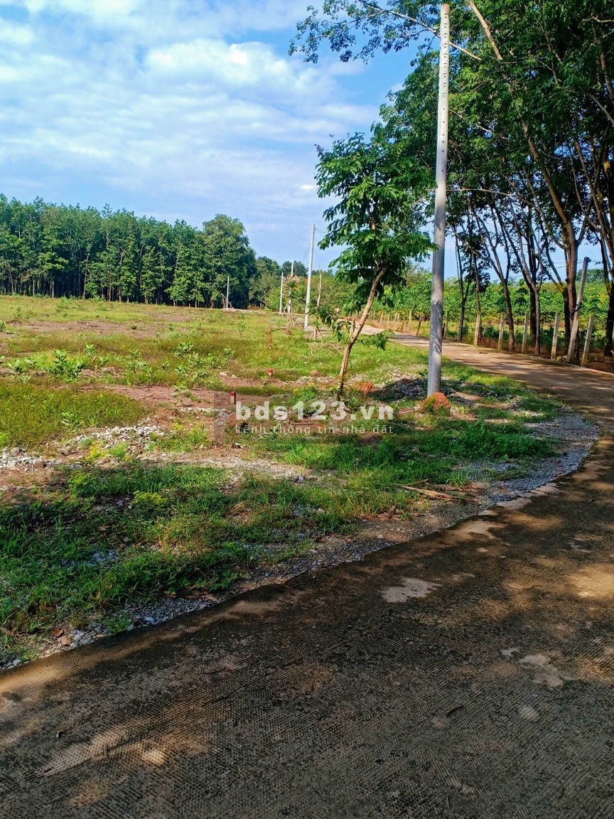 Bán gấp lô đất cuối cùng Chơn Thành, Bình Phước diện tích lớn, liên hệ 0389596861