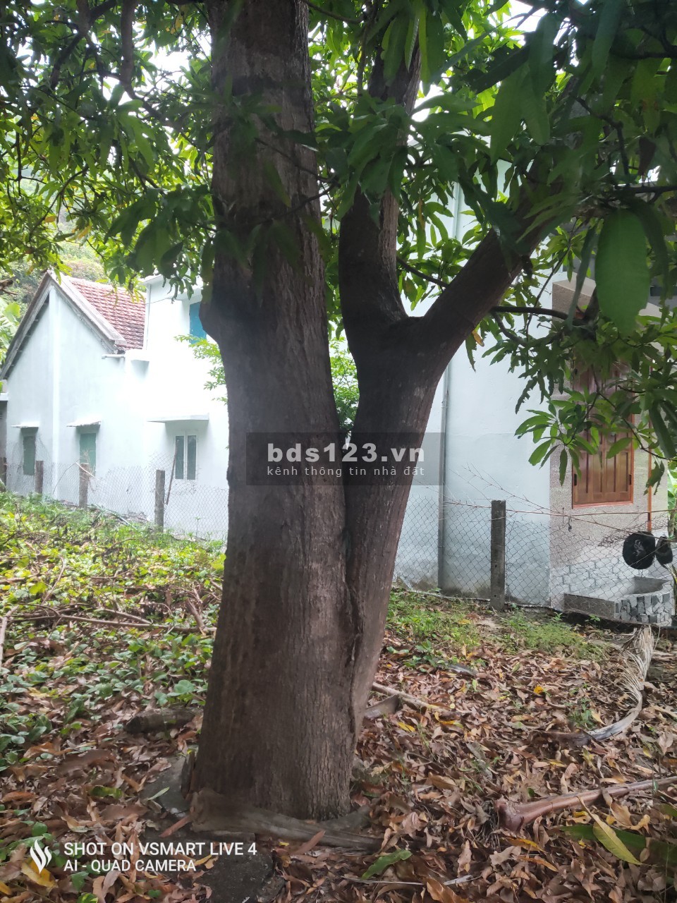 Định cư xa, cần bán đất 400m2 thổ cư tại thôn Minh Đức, xã Bình Kiến lh 0913886947