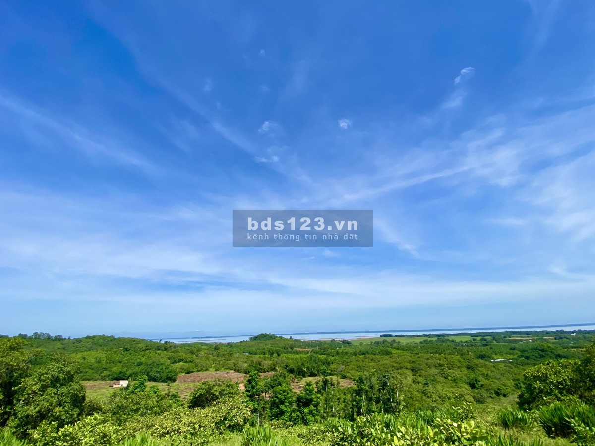 Bán đất View hồ Trị An, Đồng Nai sổ sẵn chính chủ bao sang tên công chứng ngay