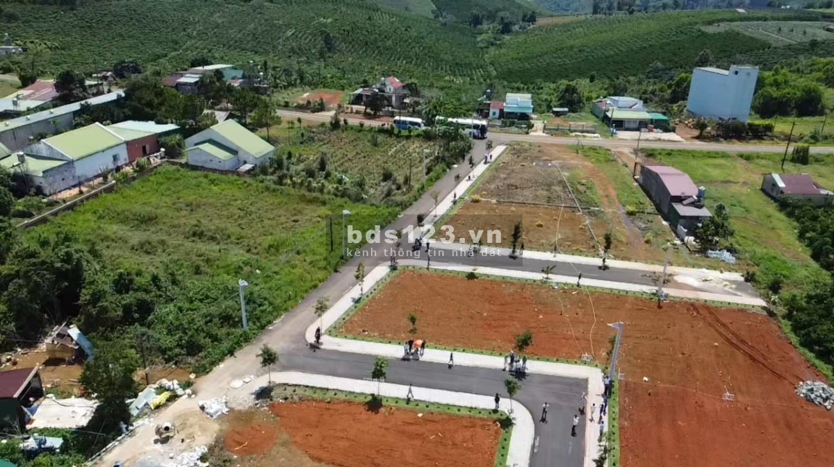 Tận hưởng cuộc sống với khu biệt thử nghỉ dưỡng Sam Hills Bảo Lộc, Lâm Đồng