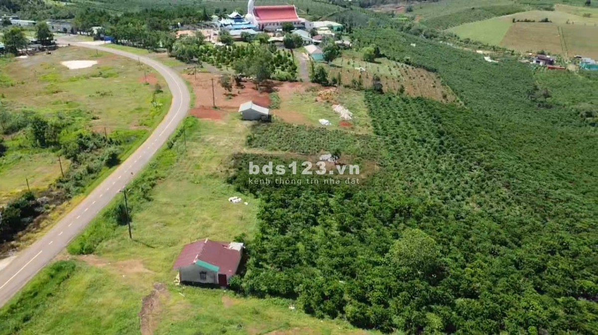 Tận hưởng cuộc sống với khu biệt thử nghỉ dưỡng Sam Hills Bảo Lộc, Lâm Đồng