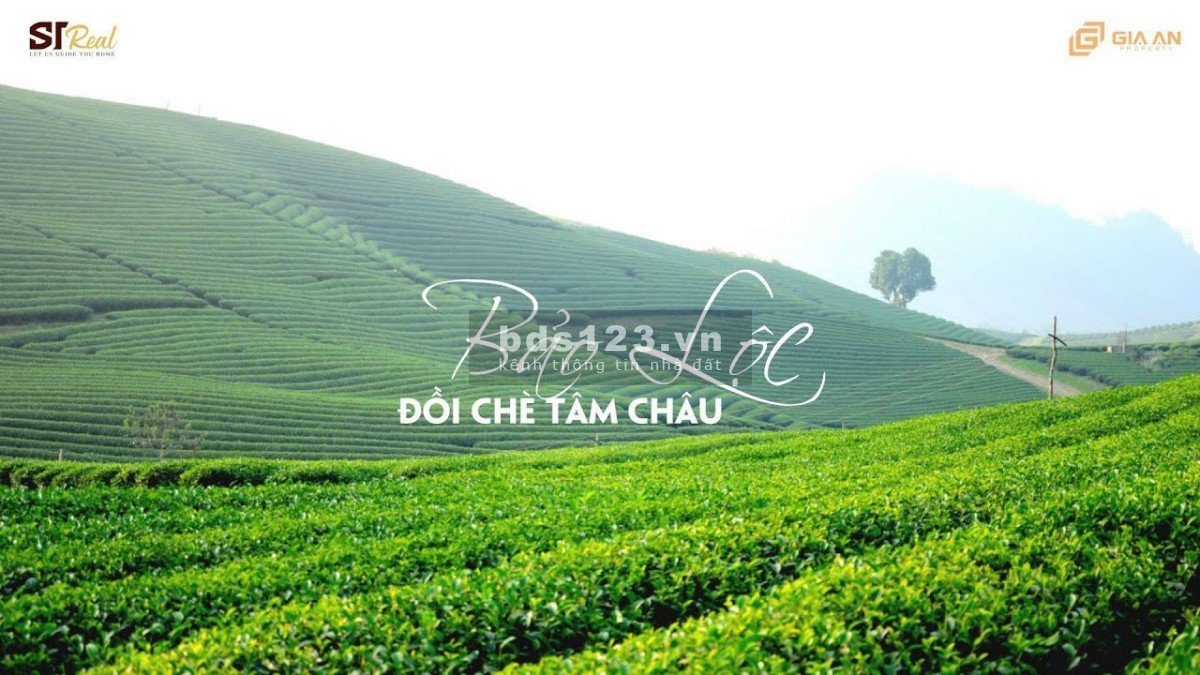 Tận hưởng cuộc sống với khu biệt thử nghỉ dưỡng Sam Hills Bảo Lộc, Lâm Đồng