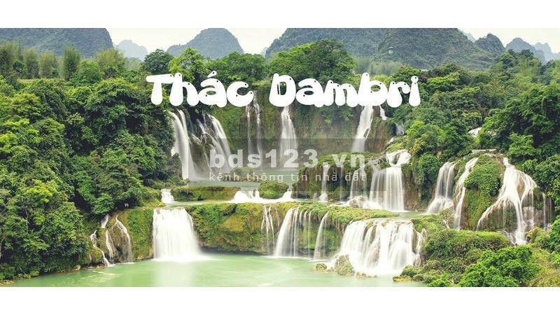 Tận hưởng cuộc sống với khu biệt thử nghỉ dưỡng Sam Hills Bảo Lộc, Lâm Đồng