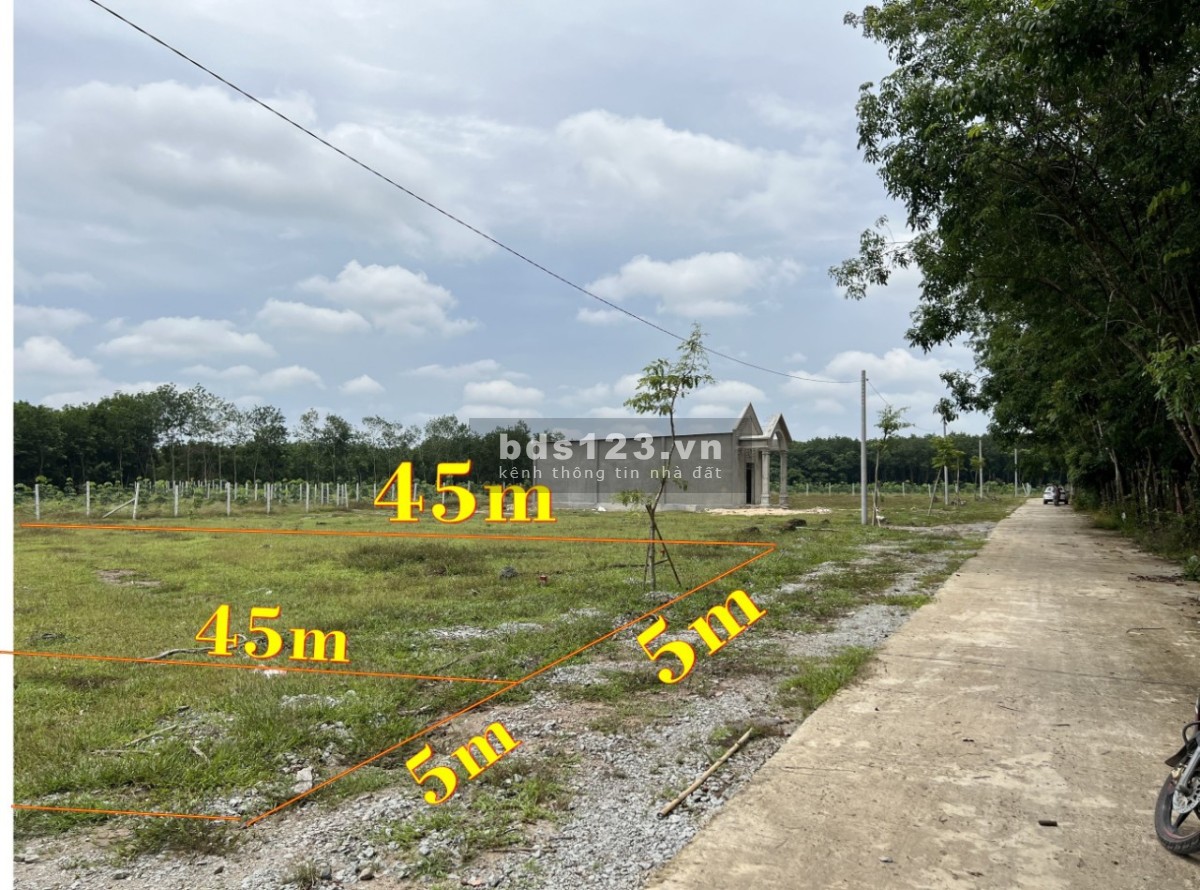 Bán đất nền giá rẻ đầu tư sinh lời sổ sẵn Chơn Thành, Bình Phước đã có sẵn sổ giá tốt