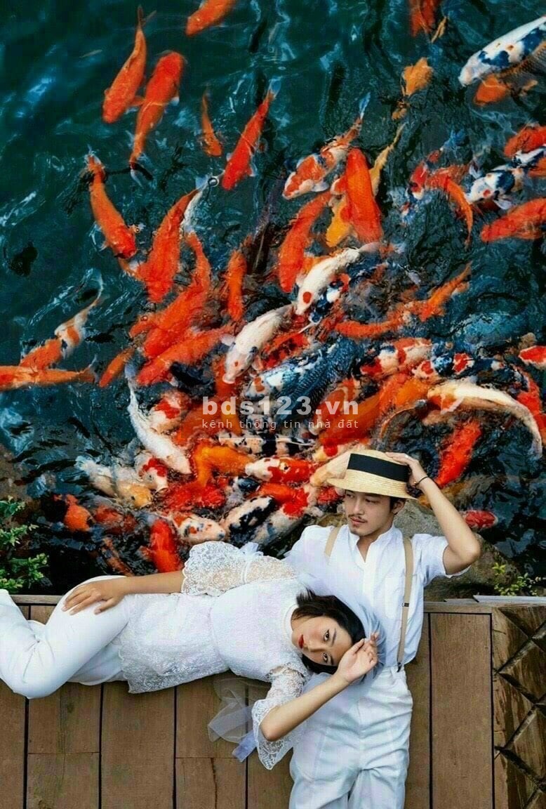 Cần Cho Thuê chung cư Vinhomes Quận 9 giá chỉ từ 4 triệu. 0933885879