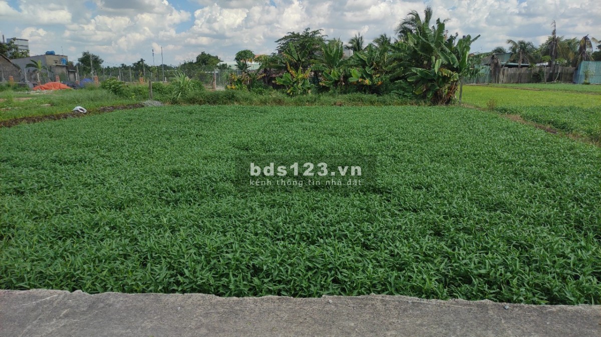 Đất ở trong khu dân cư, gần Trường Tiểu Học Bình Mỹ. 8x22m, 1.1 tỷ