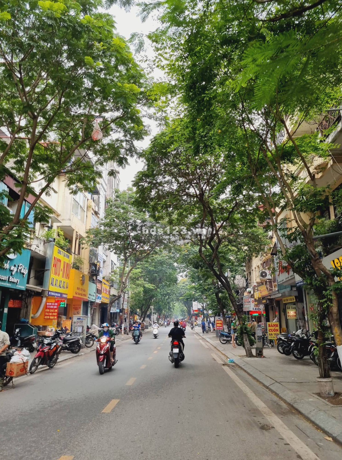 Bán đất tặng nhà Phố Đội Cấn diện tích sử dụng 66m2, 4 tầng, Mặt tiền 4m chỉ 7,9 tỷ