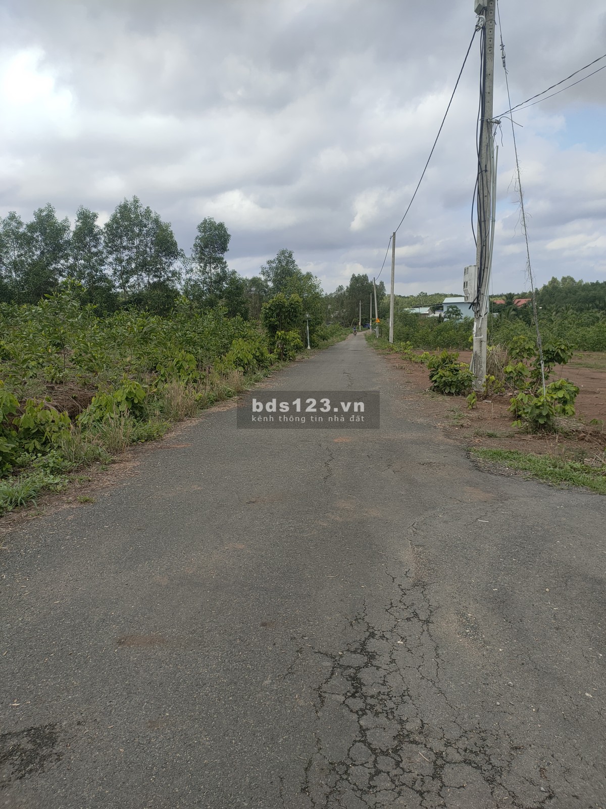 Gấp gấp cần bán lô đất diện tích sử dụng 1153,5m2 cln full hồng giá rẻ đầu tư