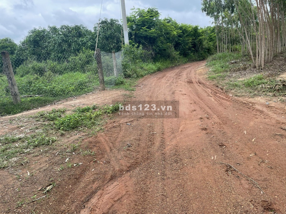 Đất mẫu Hàm Tân, 2 mặt đường - cách lộ nhựa 500m sổ hồng riêng