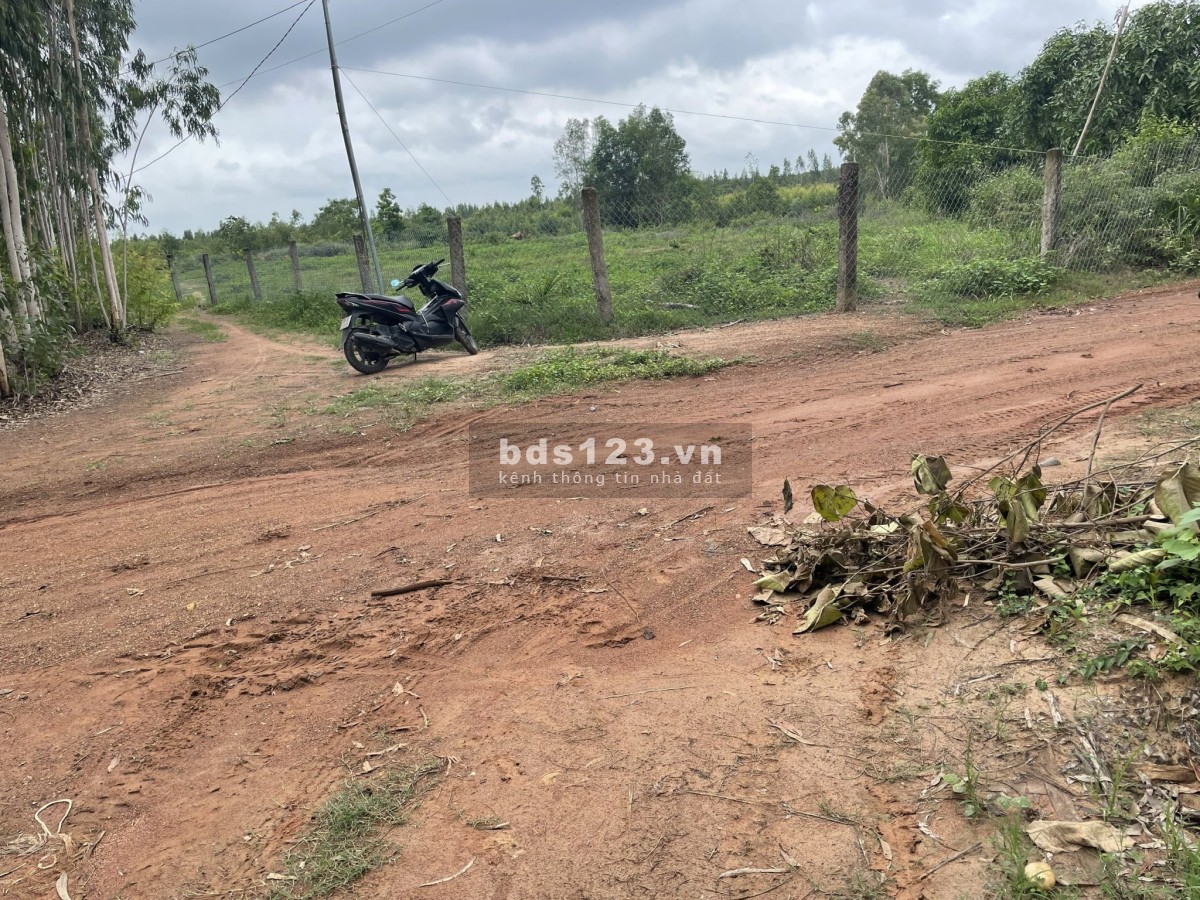 Đất mẫu Hàm Tân, 2 mặt đường - cách lộ nhựa 500m sổ hồng riêng