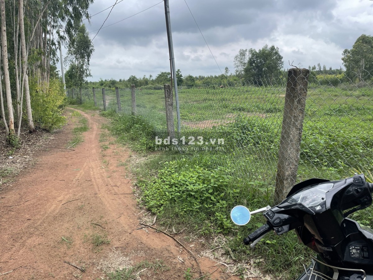 Đất mẫu Hàm Tân, 2 mặt đường - cách lộ nhựa 500m sổ hồng riêng