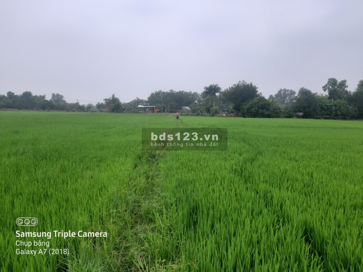 Bán đất đẹp giá đầu tư sinh lời, khu tiện ích, đường lớn xe ra vào