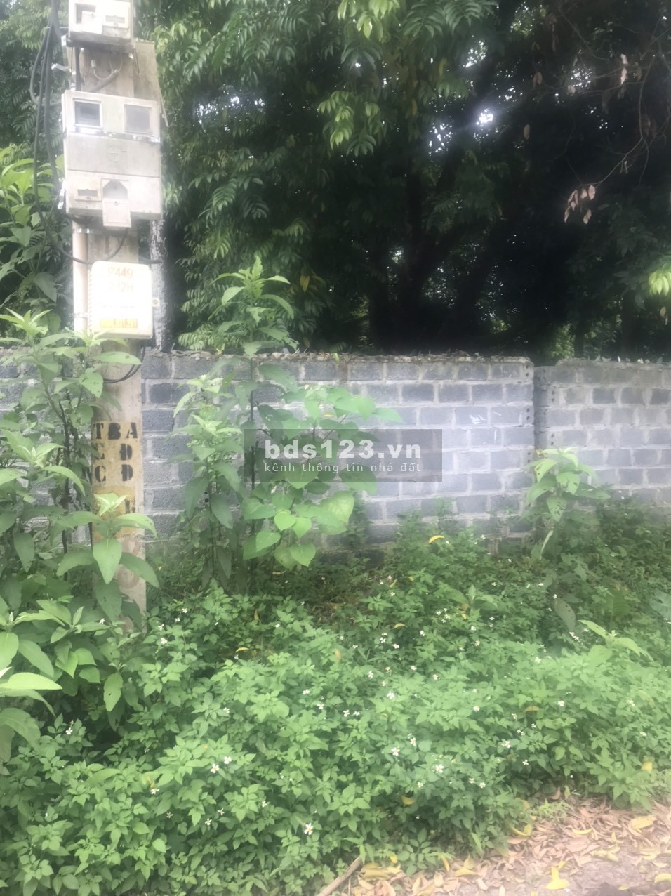 nhượng lại lô đất ơ làm xưởng và phân lô