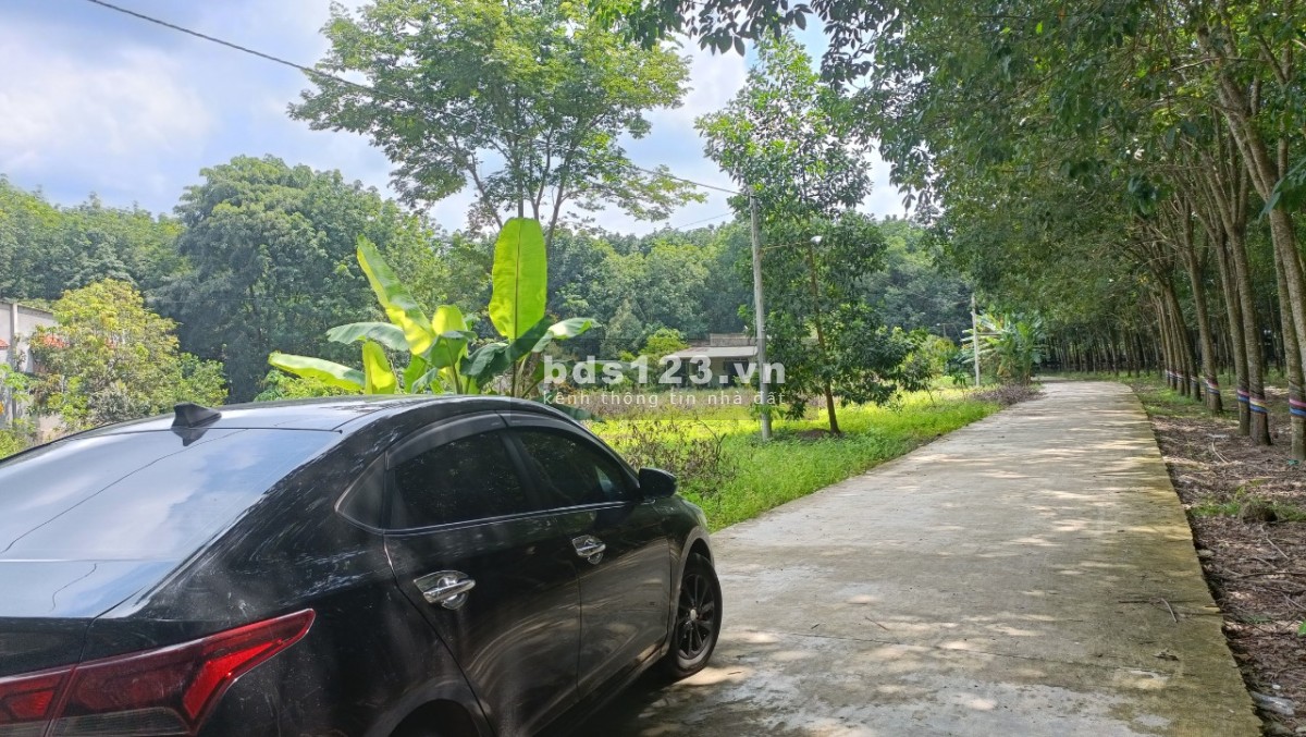 Đất nền tái định cư Becamex Chơn Thành Bình Phước pháp lý chính chủ
