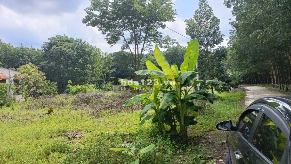 Đất nền tái định cư Becamex Chơn Thành Bình Phước pháp lý chính chủ