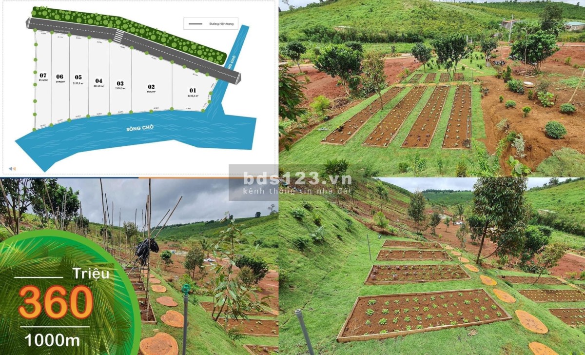 Chính chủ cần bán đất sào Khánh Hiệp view Sông Chò giá đầu tư, lh 0969025664