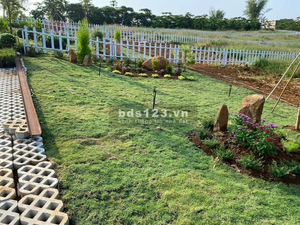 Bán đất view Sông Chò tích hợp nghỉ dưỡng & kinh doanh Homestay