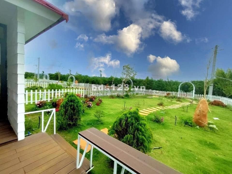 Bán đất view Sông Chò tích hợp nghỉ dưỡng & kinh doanh Homestay
