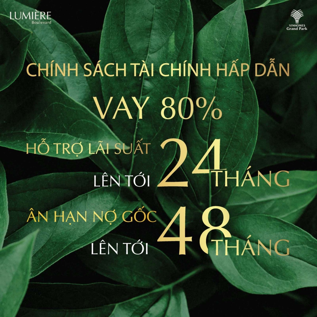 Bán căn hộ cao cấp giá tốt tiện ích đủ, hỗ trợ vay ngân hàng, lãi thấp