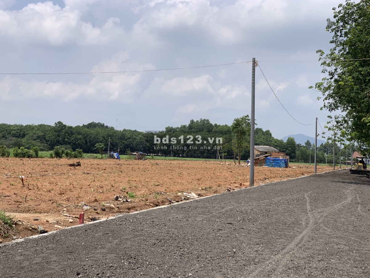 Đất Đẹp Đường Nhựa - Ngay Trung Tâm Hành Chính xã Phước Bình - Giá Đầu Tư