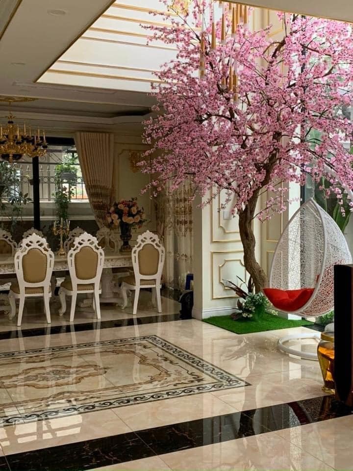 Bán Nhà Phố Phạm Ngọc Thạch 7 Tầng, thang máy gara lô góc dtsd 100m2, MT 5.5m Chỉ Nhỉnh 19 Tỷ