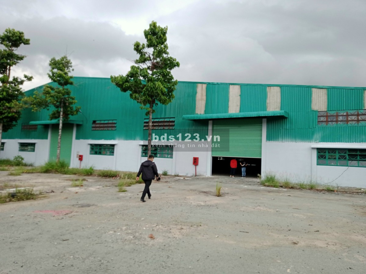 Cần cho thuê 3.400m2, 4.300m2, 5.900m2. 14.500m2 kho Quốc Lộ 1A, Tam Bình, Thủ Đức