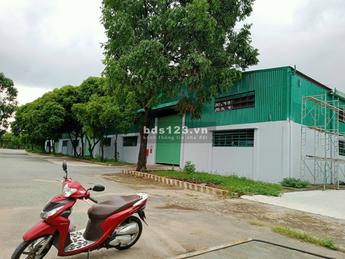 Cần cho thuê 3.400m2, 4.300m2, 5.900m2. 14.500m2 kho Quốc Lộ 1A, Tam Bình, Thủ Đức