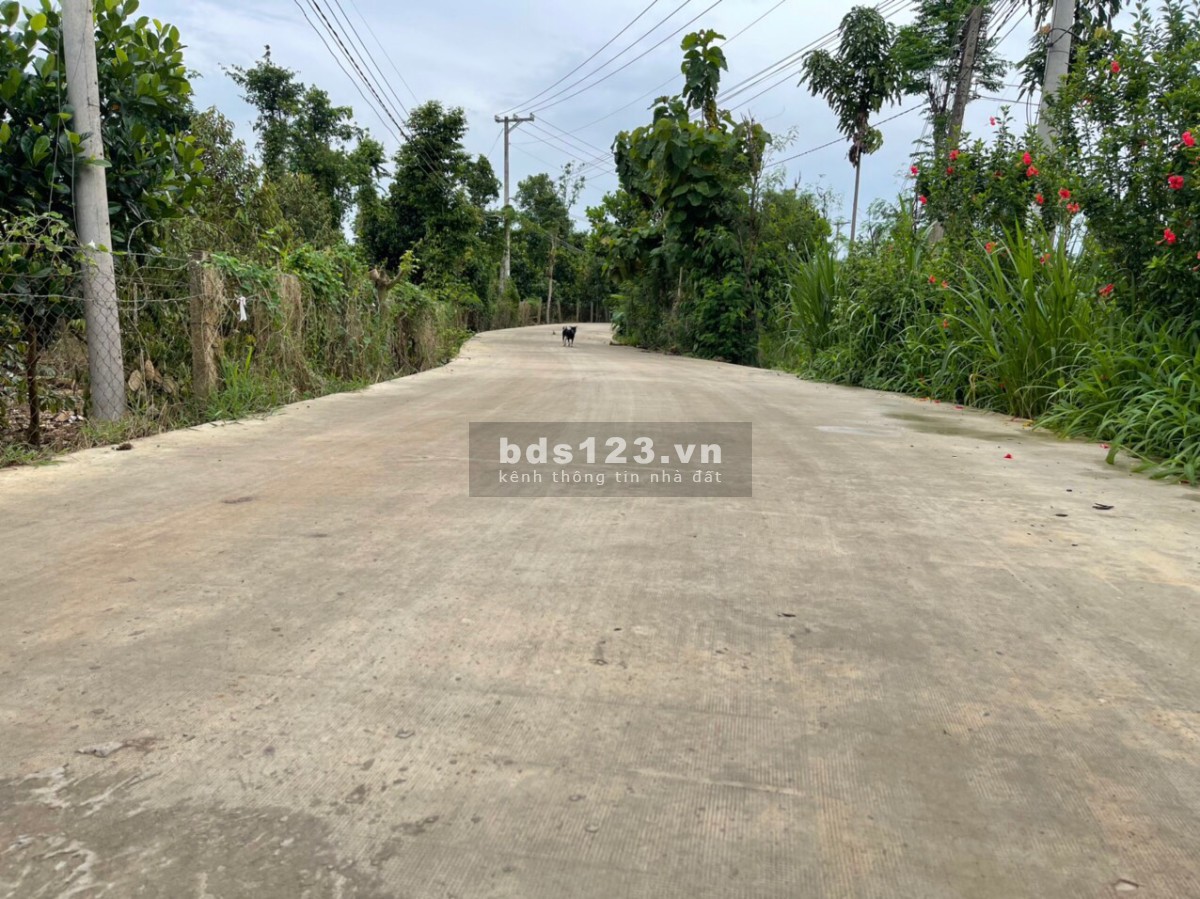Chính chủ cần bán lô đất gần chợ Phú Tân sổ riêng công chứng sang tên ngay