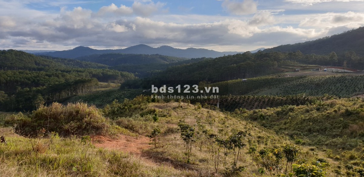 Cần bán gấp lô đất view đẹp ở Đa Sar Đà Lat, pháp lý chuẩn, giá tốt đầu tư