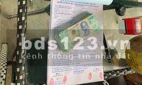Cần thanh lý nhanh 2 lô mặt tiền đẹp ngay trường cao đẳng y tế Đồng Nai, giá F0 bao lời