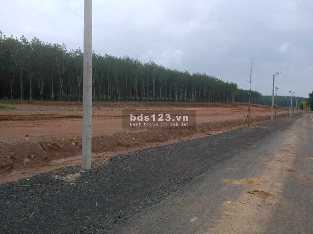 Đất trung tâm thành phố đồng xoài, sổ sẵn, giá F0 nằm, mặt tiền quốc lộ 14