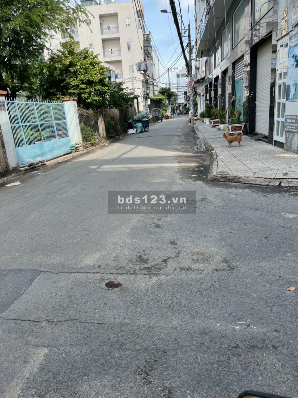 Cần bán nhà xưởng Tô Hiệu 540m2 Quận Tân Phú