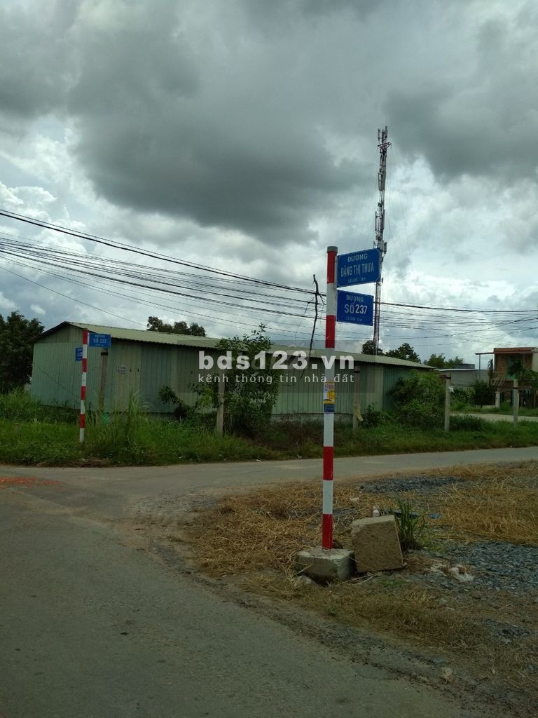 Bán đất nền Full thổ cư 5x25 đường số 237 Hòa Phú Củ Chi, cách đường Bến Than 500m