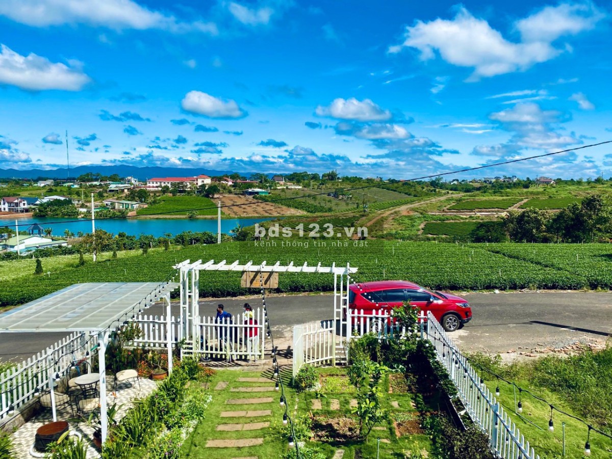 Bán đất chính chủ, view sông và đồi chè pháp lý rõ ràng, bàn giao ngay