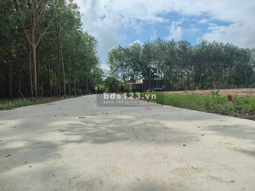 Còn đúng 1 lô cuối cùng sổ sẵn vị trí đẹp gần khu công nghiệp Tân Quang, giá chỉ 400 triệu