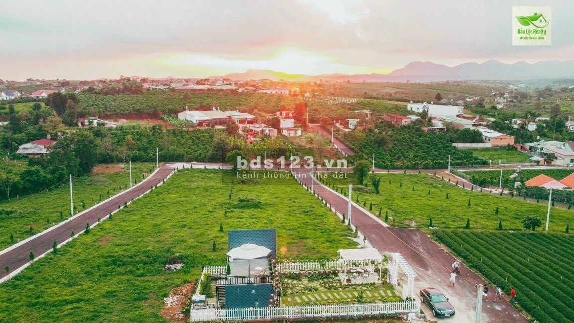 Bán đất chính chủ, view sông và đồi chè pháp lý rõ ràng, bàn giao ngay